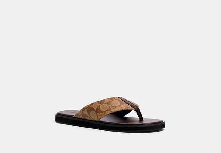 Flip Flop In Signature Canvas