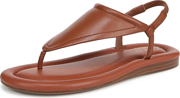 Acorn Brown