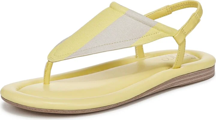 Citrus Yellow Multi