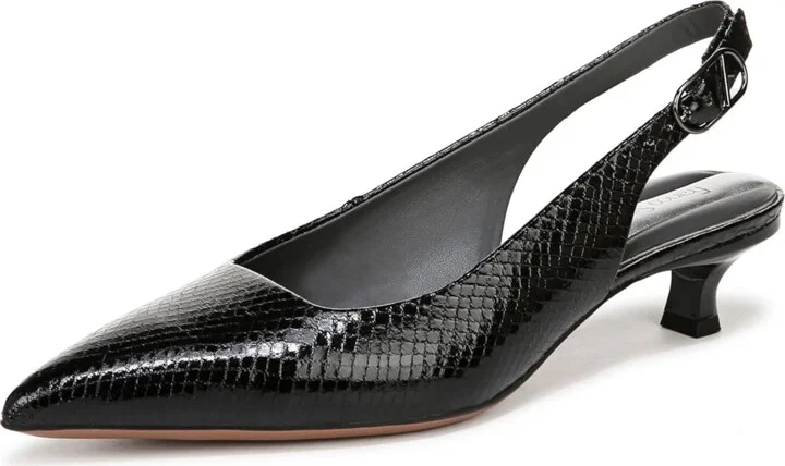 Black Glossy Snake