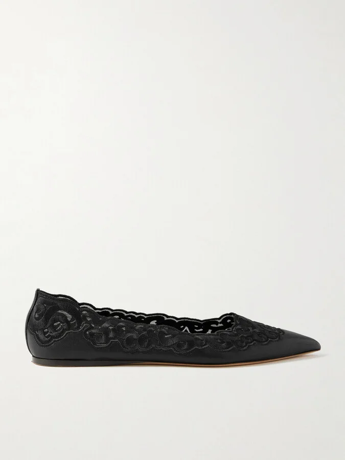 Gabriela Hearst - Ziva Leather And Embroidered Tulle Point-toe Flats - Black