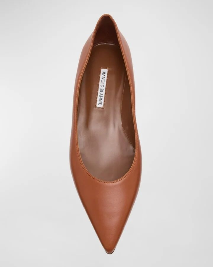 Gala Lambskin Point-Toe Ballerina Flats - Image 3