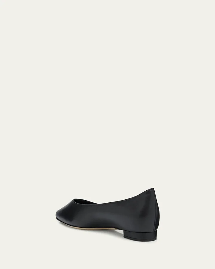 Gala Lambskin Point-Toe Ballerina Flats - Image 3