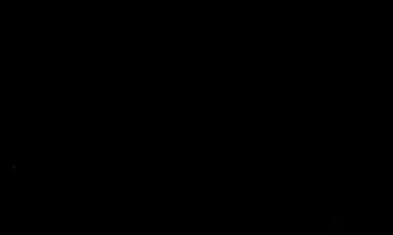Gender Inclusive Vamonos Boot - Image 6