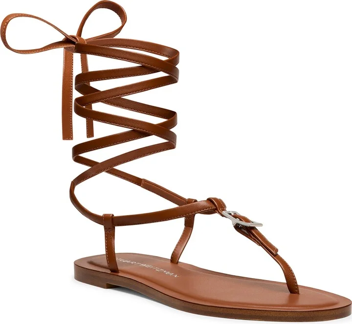 Bridle Brown