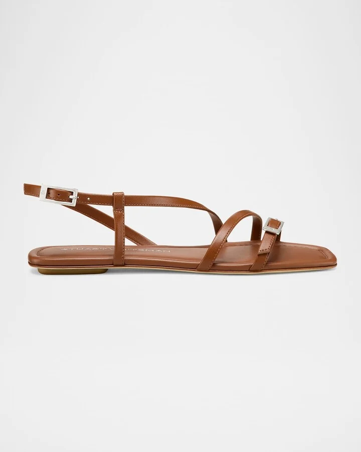 Bridle Brown