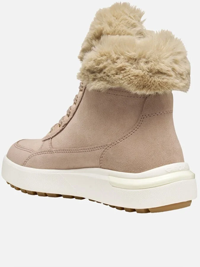 Geox Dalyla Shoes - Image 4