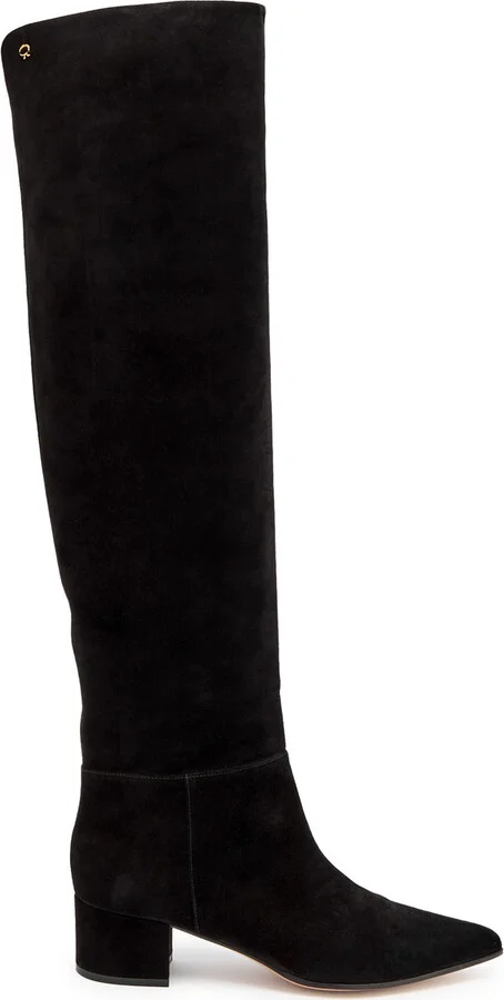 Gianvito Rossi Joelle 50 Suede Knee-high Boots