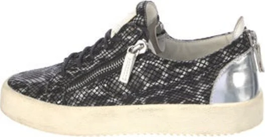 Giuseppe Zanotti