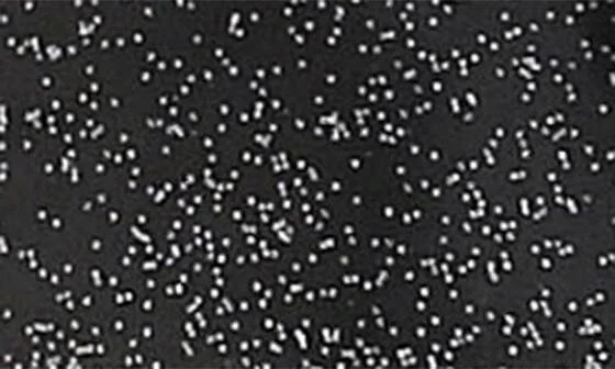 Glitter Waterproof Rain Boot - Image 9