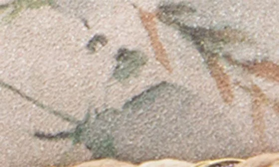 Gloriosa Flat - Image 9