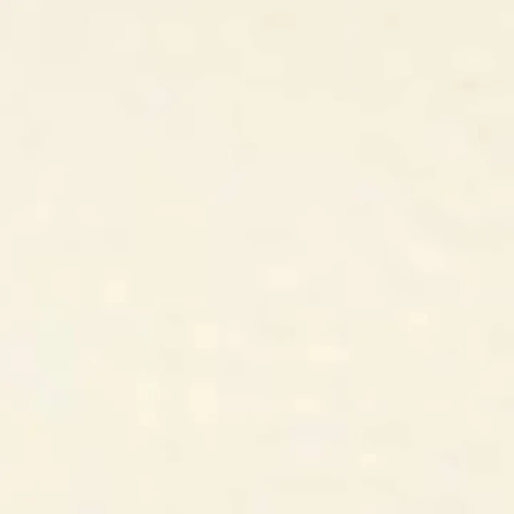 Golden Goose Leather Ball Star Sneakers - Image 5