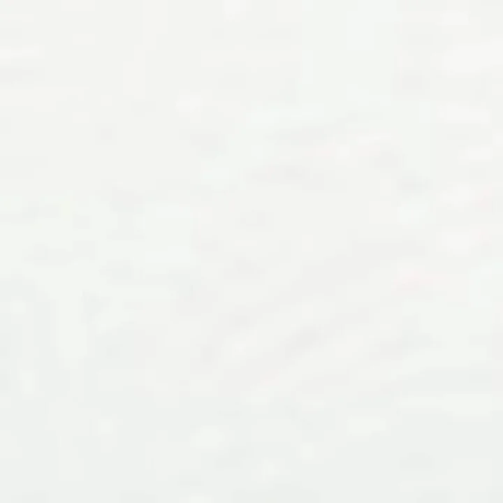 Golden Goose Leather Stardan Sneakers - Image 5