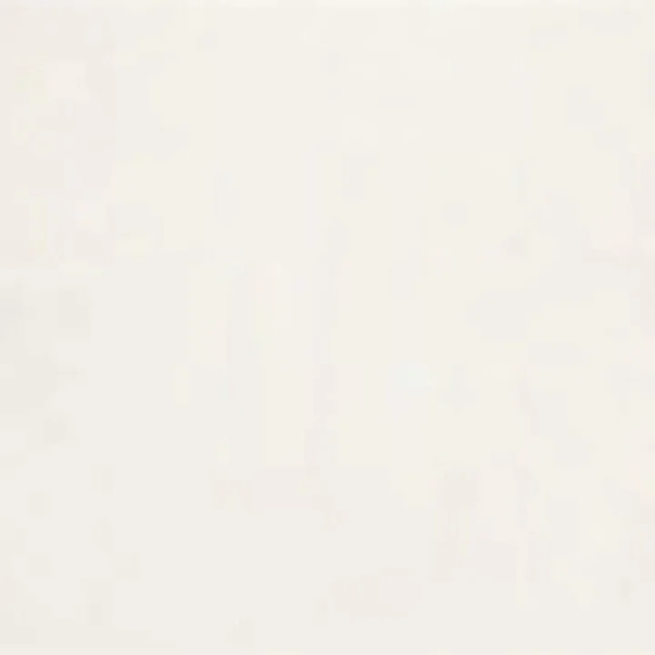 Golden Goose Leather Superstar Sneakers - Image 5