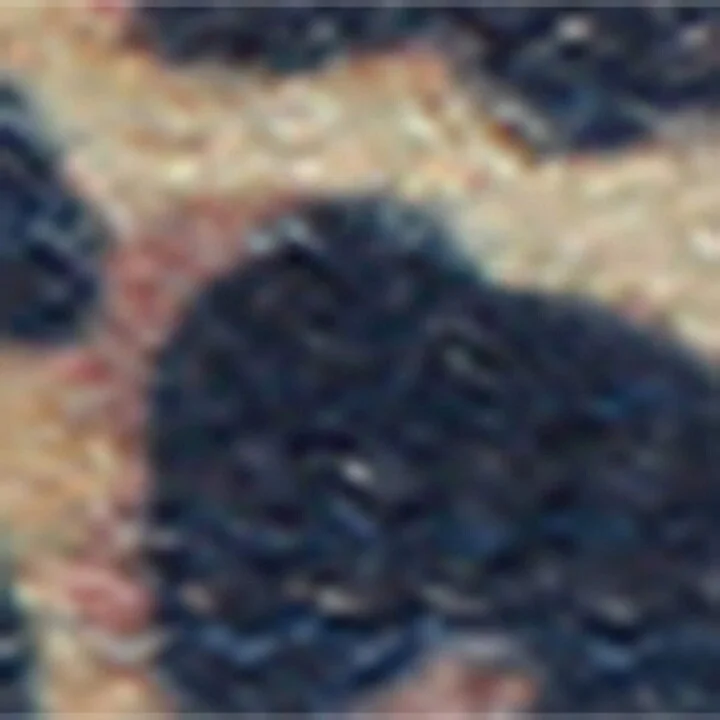 Golden Goose Leopard Print Laces - Image 3