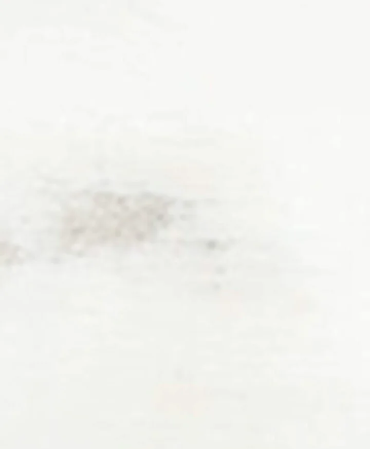Golden Goose Suede Ball Star Sneakers - Image 5
