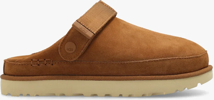 ‘Goldenstar’ Slides, , - Brown