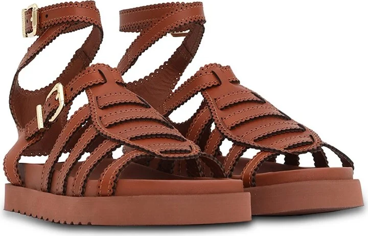 Goldie Gladiator - Image 3