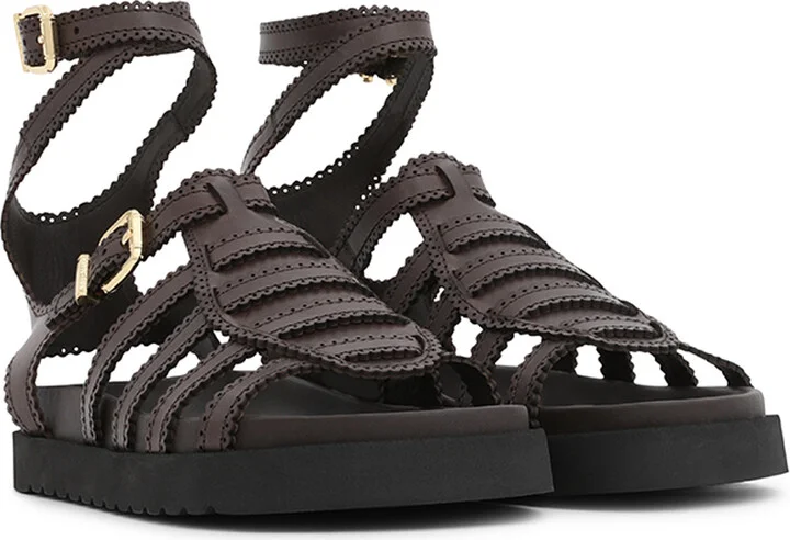 Goldie Gladiator - Image 3