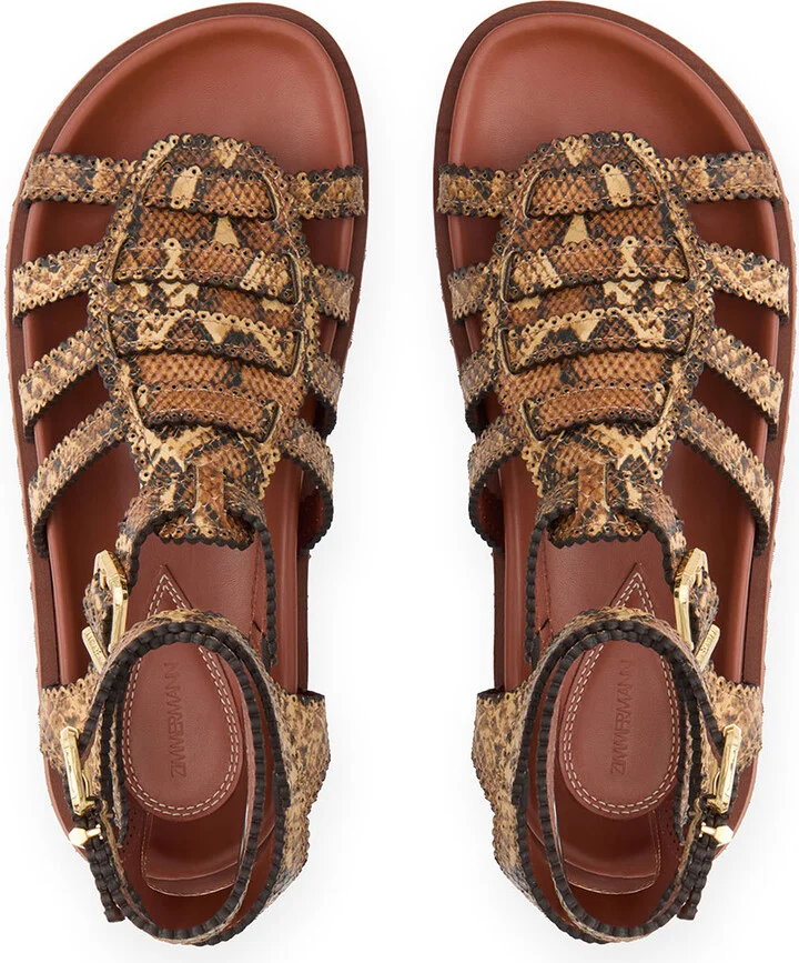 Goldie Gladiator - Image 4