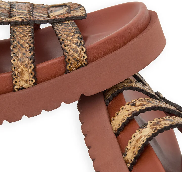Goldie Gladiator - Image 6