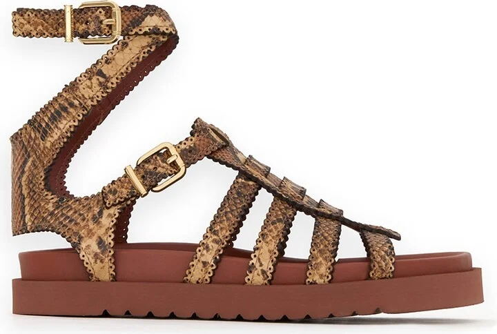Goldie Gladiator