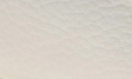 Gommini Driving Shoe - Image 7