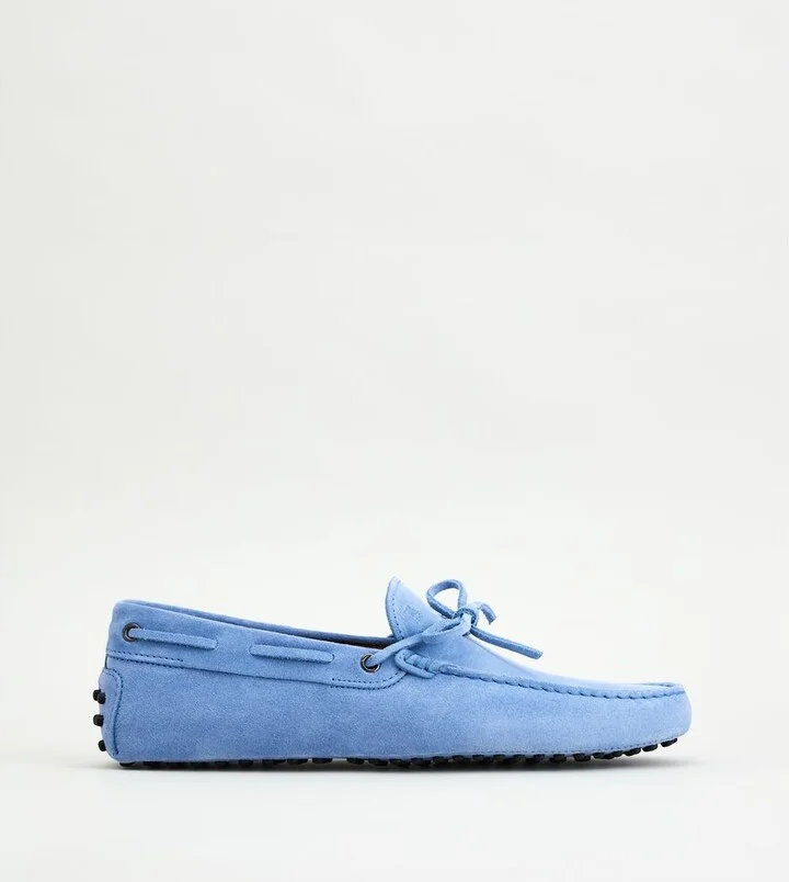 Gommino Driving Shoes in Suede