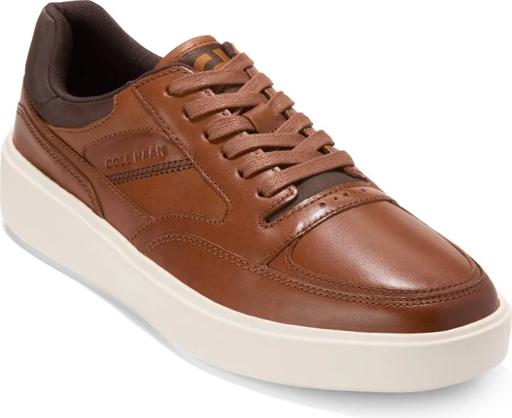 CH BRITISH TAN / CH DK CHOCOLA