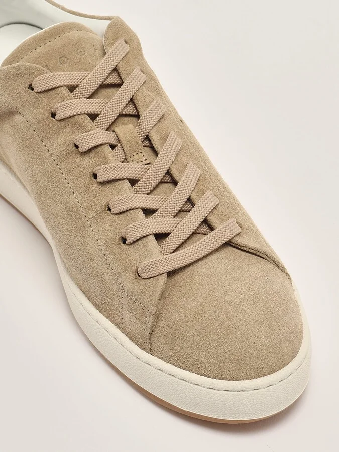 H672 H Fori Pelle Camoscio Sneaker - Image 5