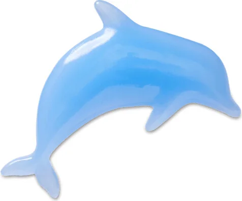 Happy Dolphin