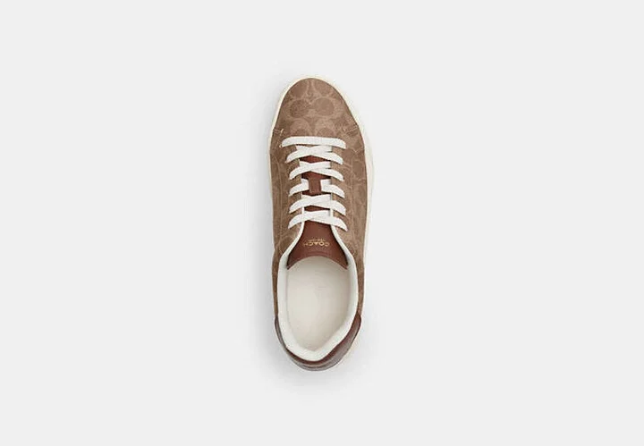 High Line Sneaker In Signature Canvas - Image 5