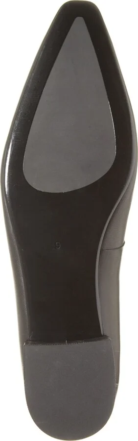 Hinted Pointed Toe Flat - Image 6
