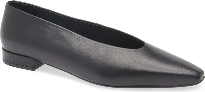 Hinted Pointed Toe Flat