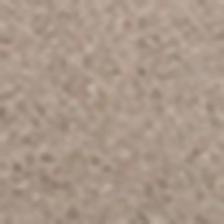 Hogan Suede H671 Allacciato Sneakers - Image 5
