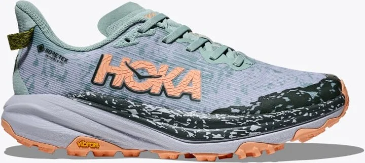HOKA Women's Speedgoat 6 GTX Shoes in Jade/Ash Grey