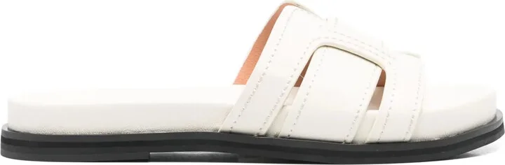 Holly slides