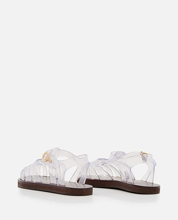 Homeria Jelly - Image 3