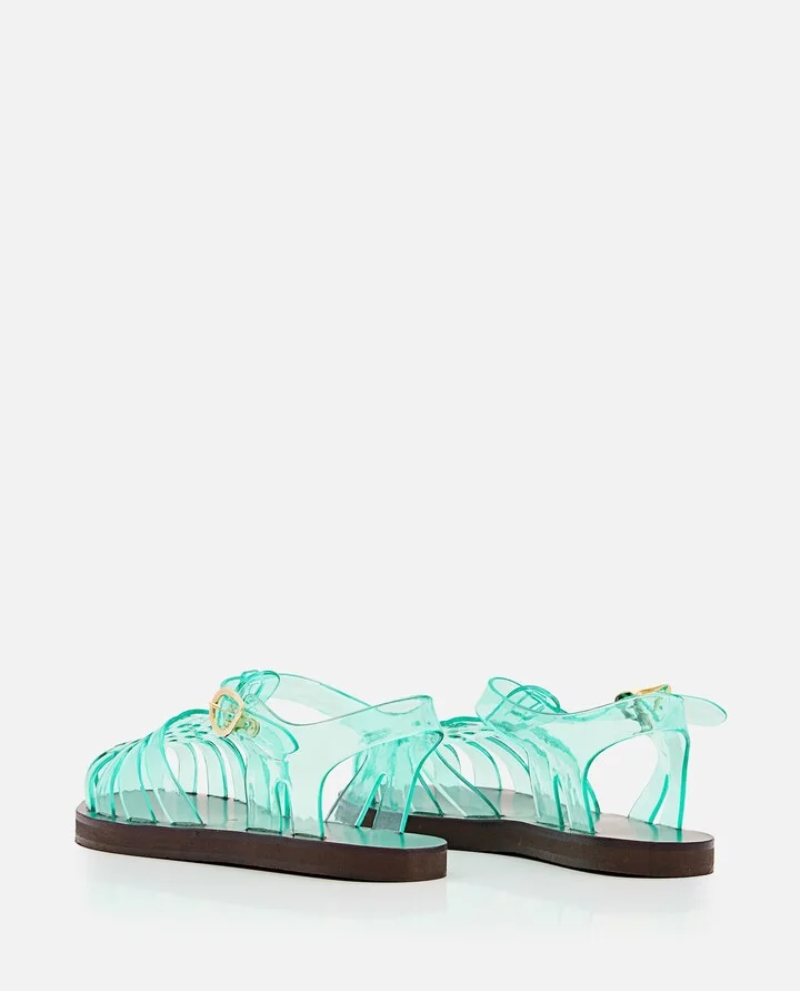 Homeria Jelly - Image 3