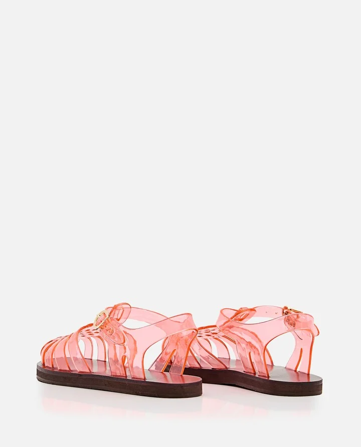 Homeria Jelly - Image 3