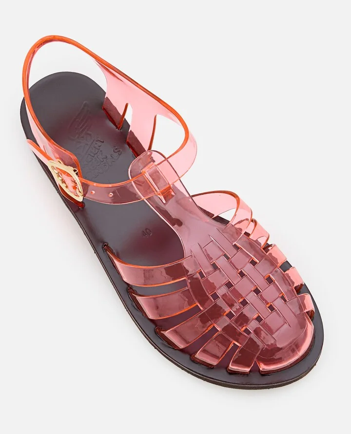 Homeria Jelly - Image 4