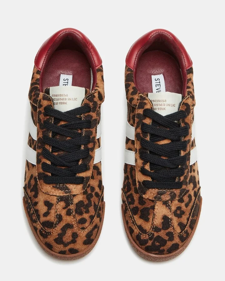 Hudsin Leopard - Image 5