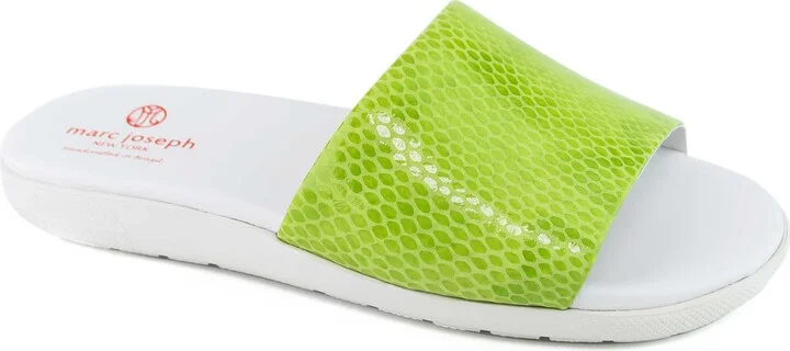 LIME SNAKE