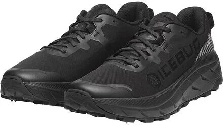 Icebug Arcus 2 BUGrip GTX Running Shoe - Men's - Image 10