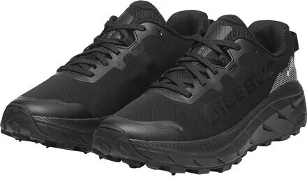 Icebug Arcus 2 BUGrip GTX Running Shoe - Women's - Image 6