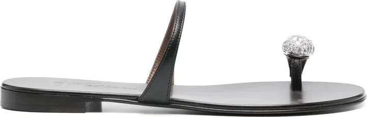 Icon Ring slides