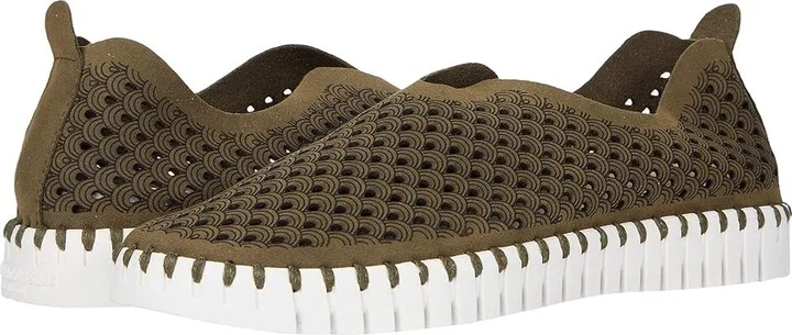 Deep Olive