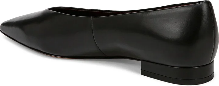 Isabel Pointed Toe Flat - Image 2