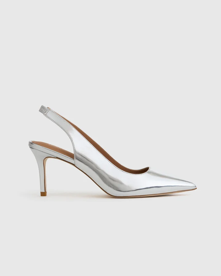 Shiny Silver