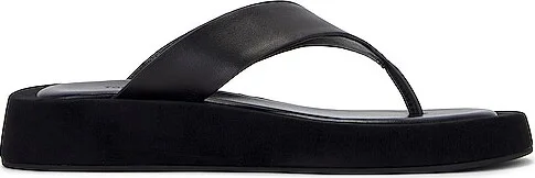 Black Como
